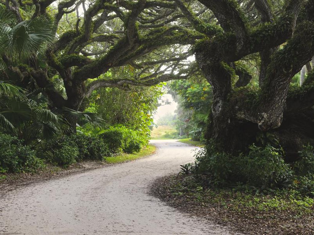 5000 Highway A1a 209