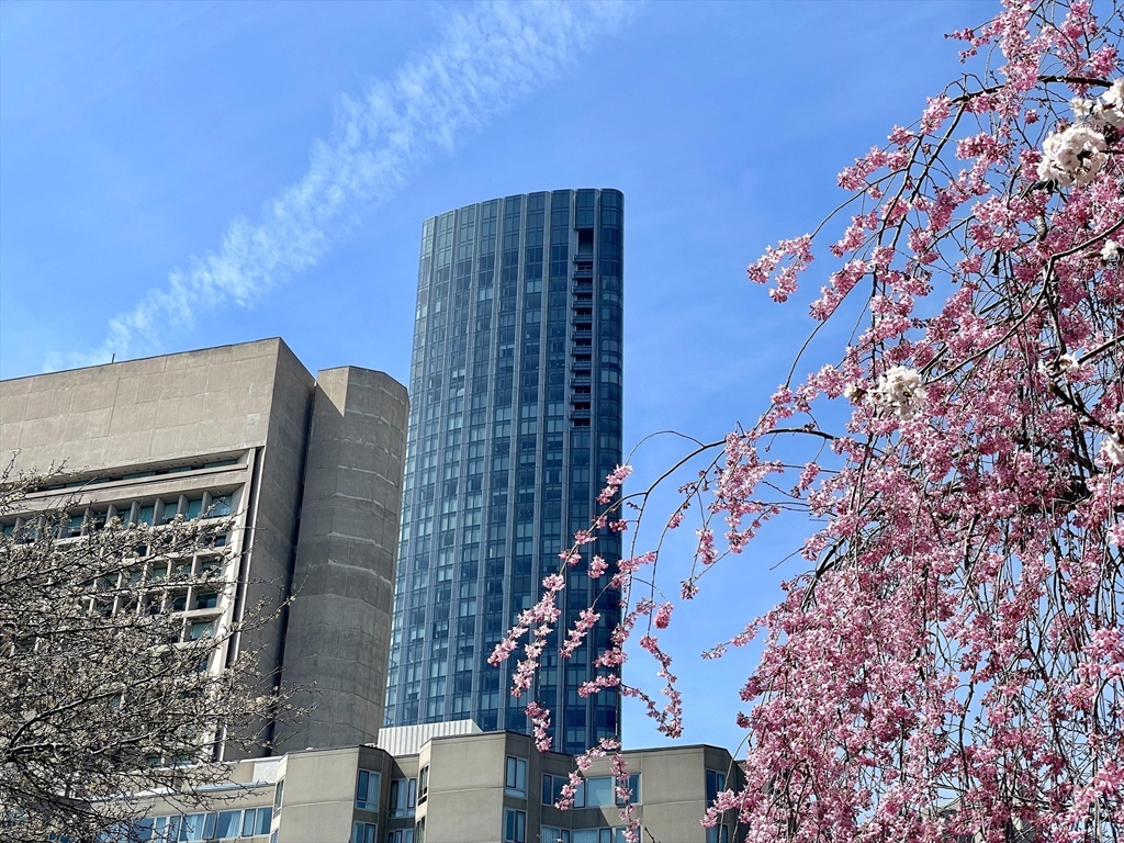 1 Dalton Street # 3108