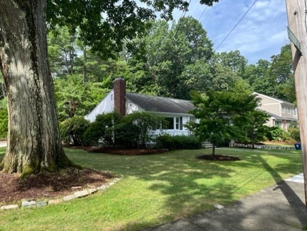 10 Shepherd Park # 10