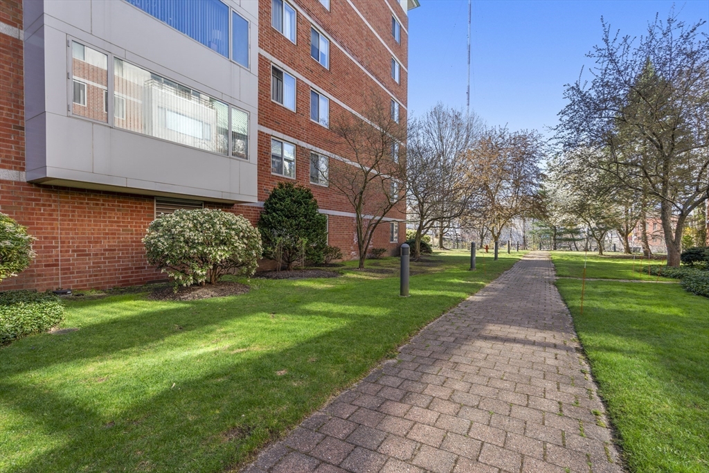 193 Oak Street # 505