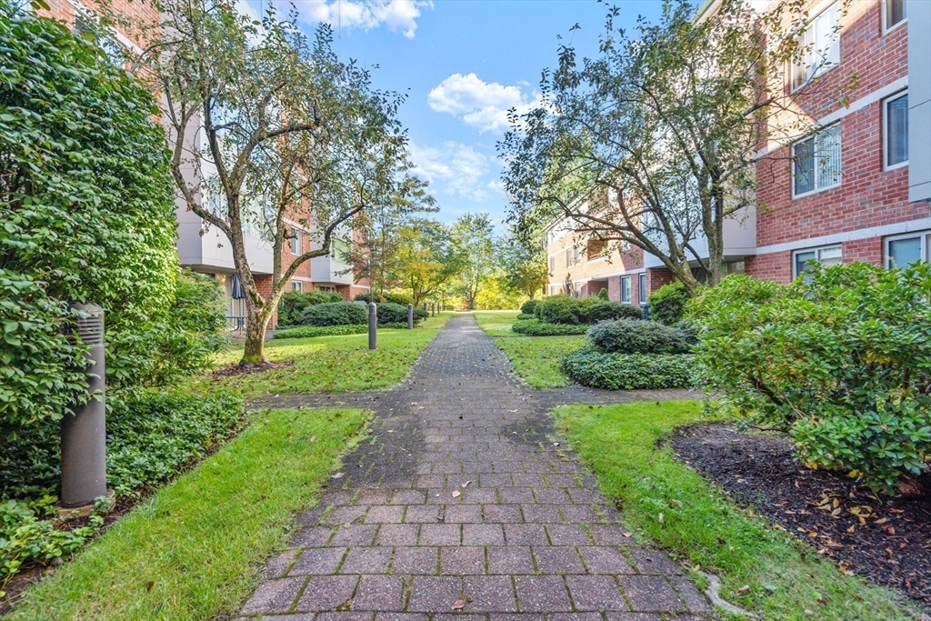 183 Oak Street # 302