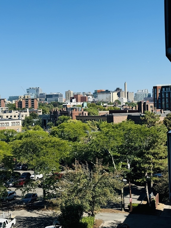 19 Winchester Street # 702