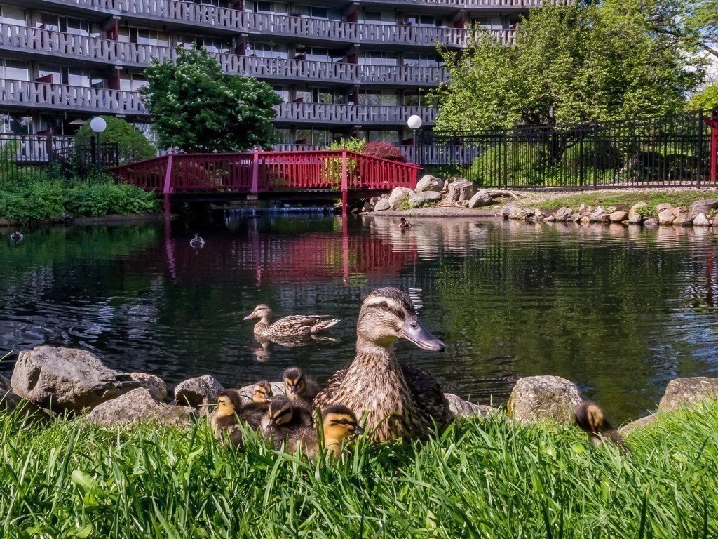 200 Swanton St # 422