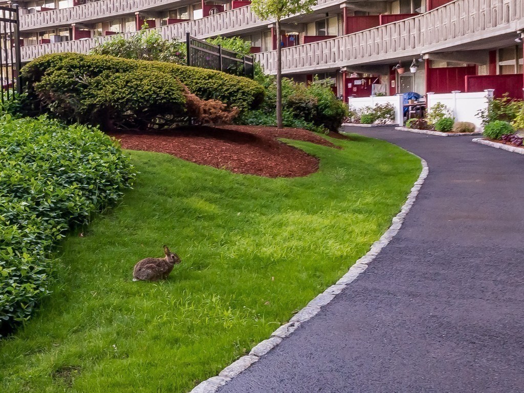 200 Swanton St # 422