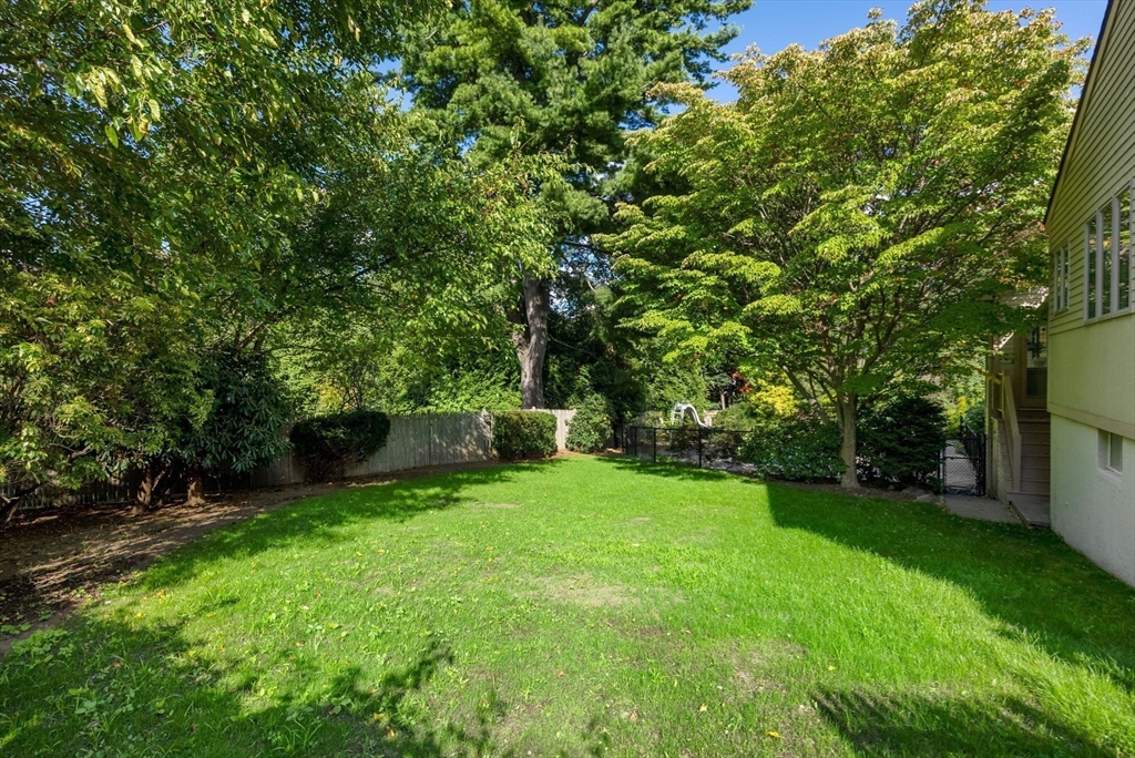 1555 Commonwealth Ave