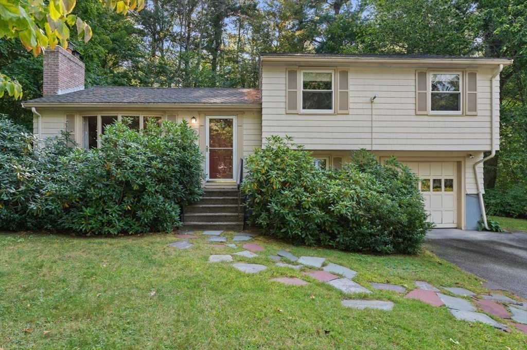 22 Constitution Road
