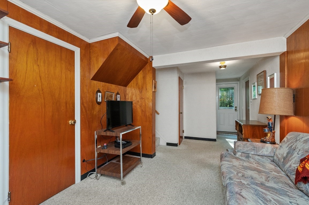 22 Constitution Road