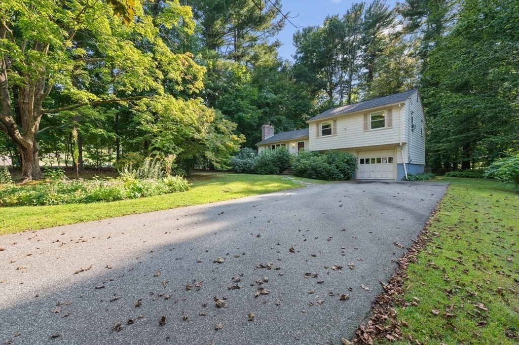 22 Constitution Road