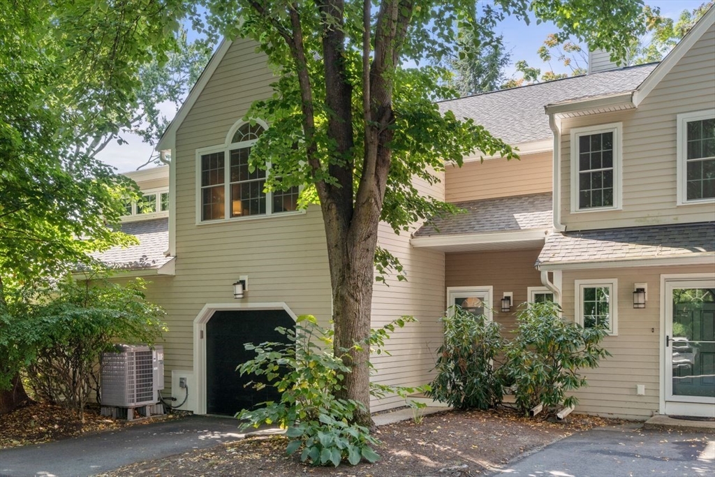 160 Pine Street # 18