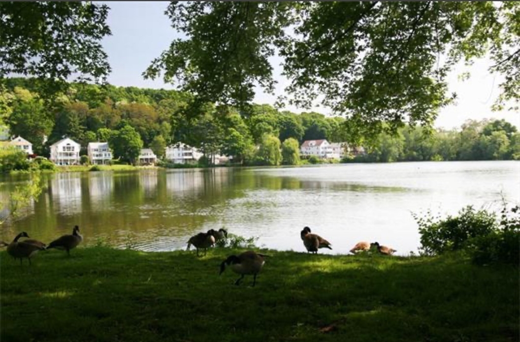 125 Lake Shore Rd # 2