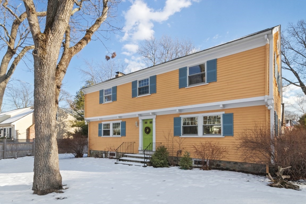 6 Cedar