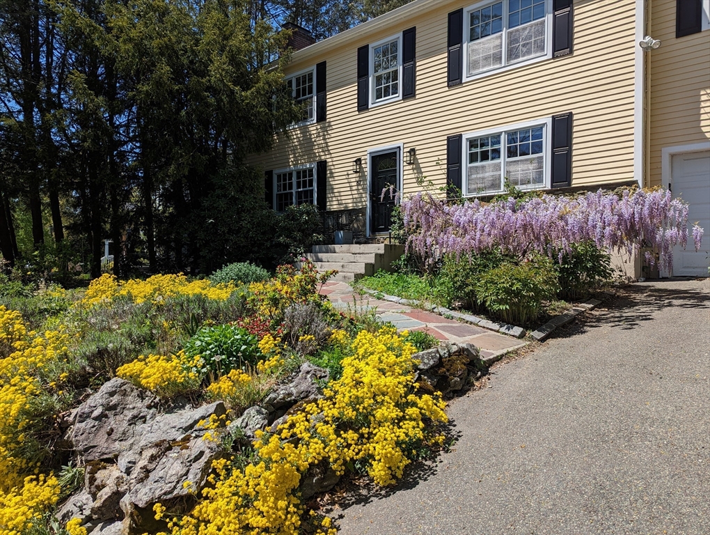 67 Walnut Hill Rd