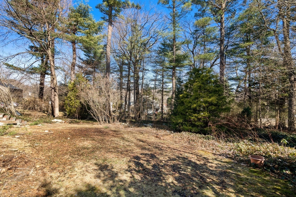 128 Dane Hill Rd