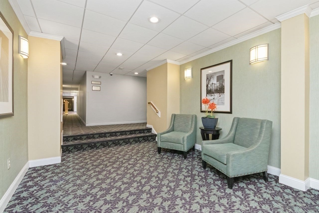 55 Broadlawn Park # 11B