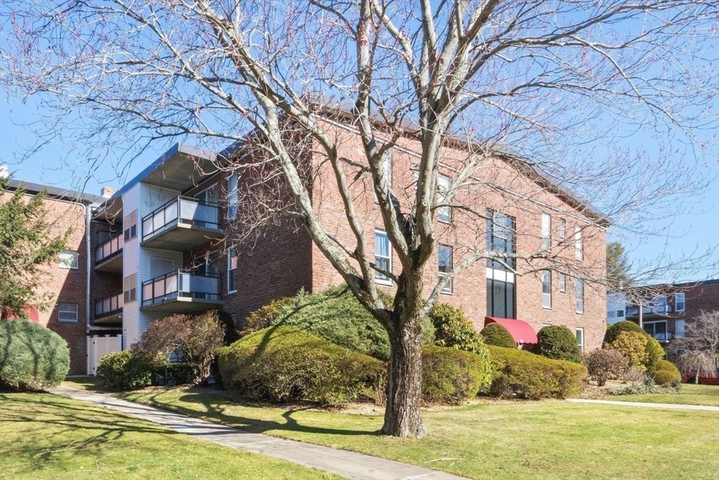 55 Broadlawn Park # 11B