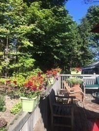 57 Ripley Street # 57