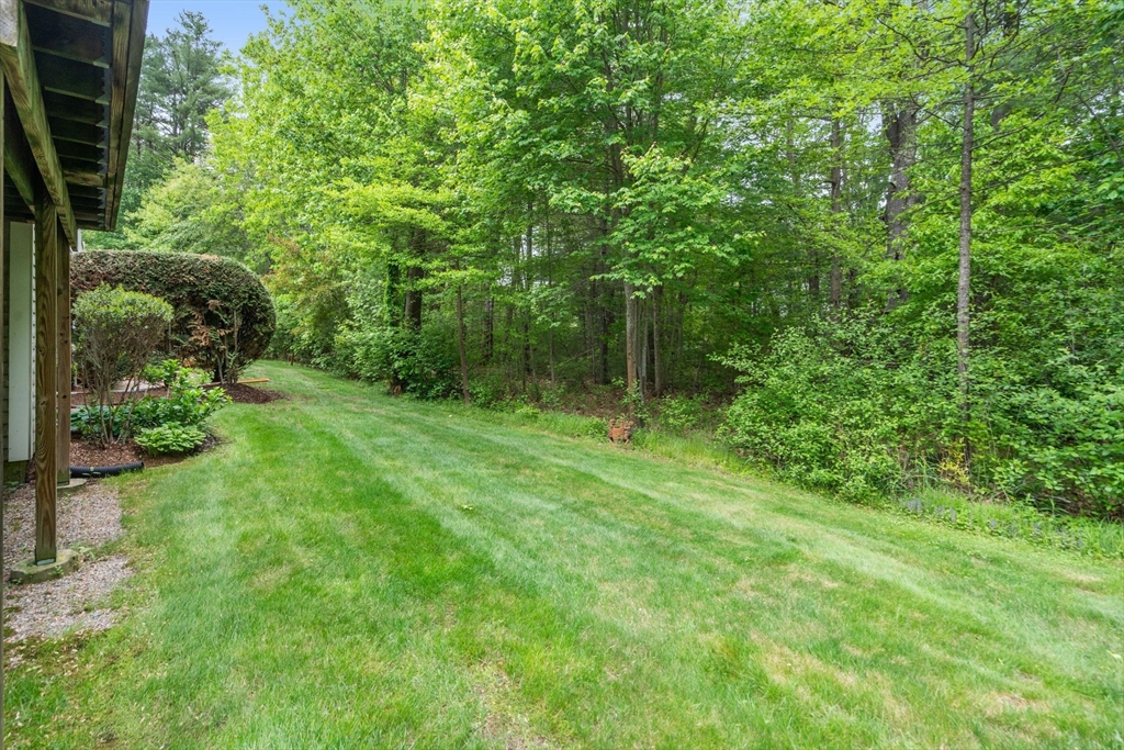 98 Spring Meadow Ln # 98
