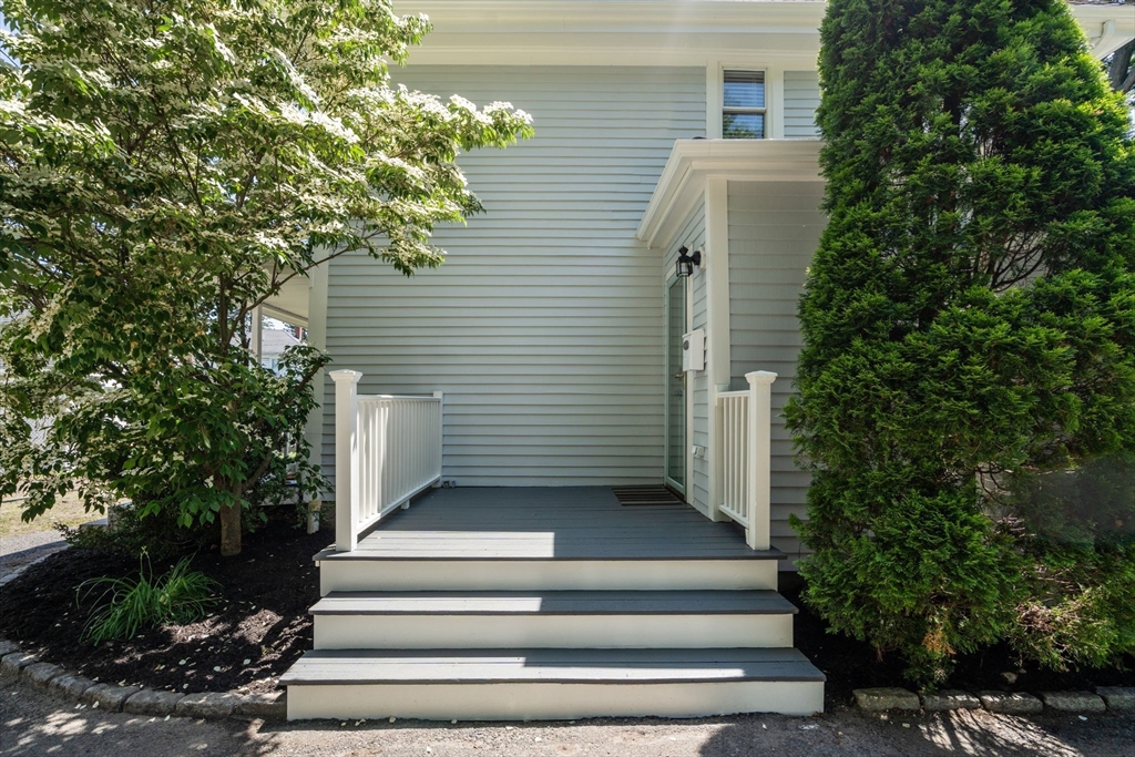 91 Freeman St