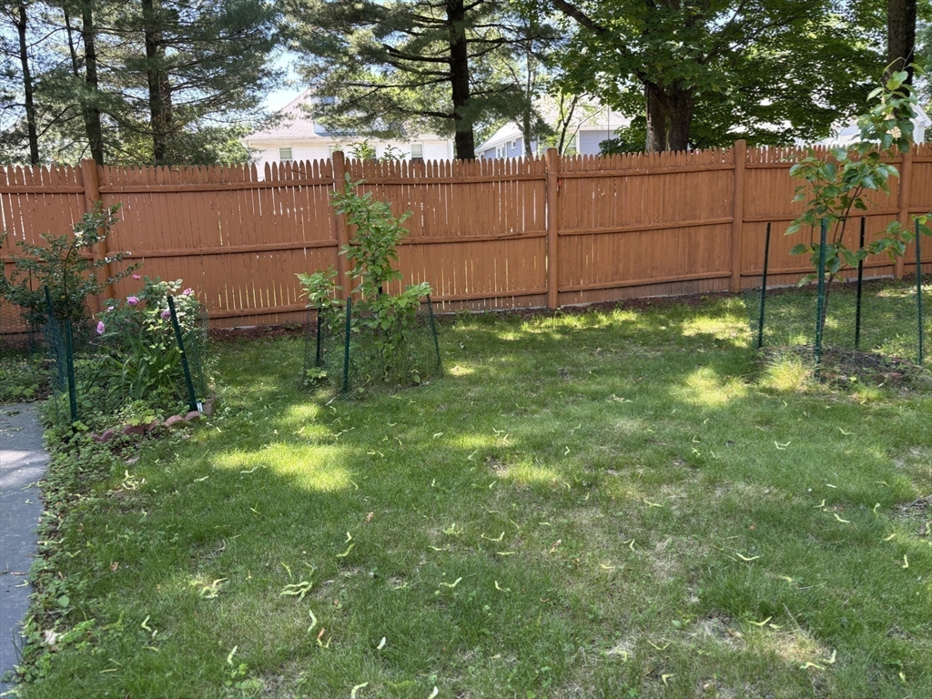 363 Linwood Avenue # 2