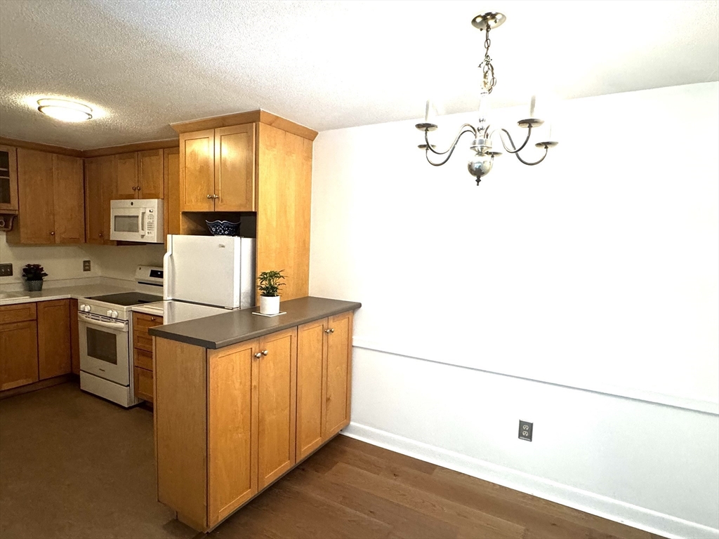 79 Walnut Street # 7