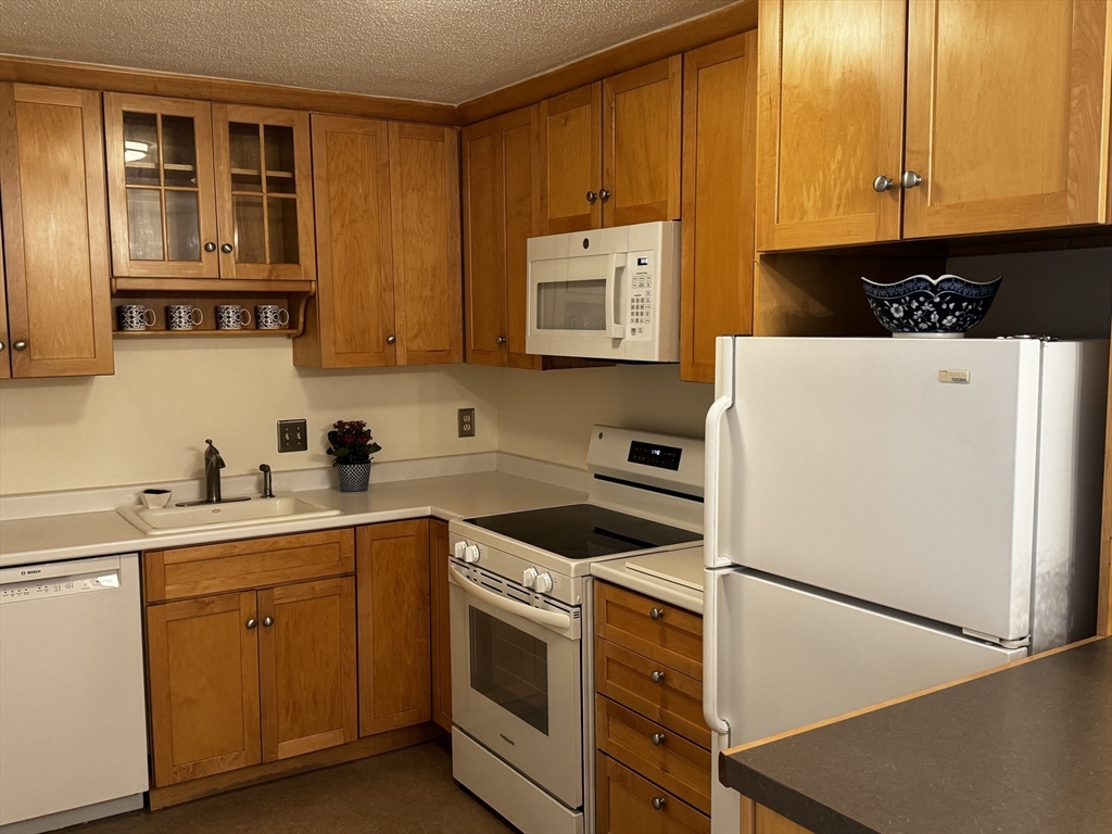 79 Walnut Street # 7