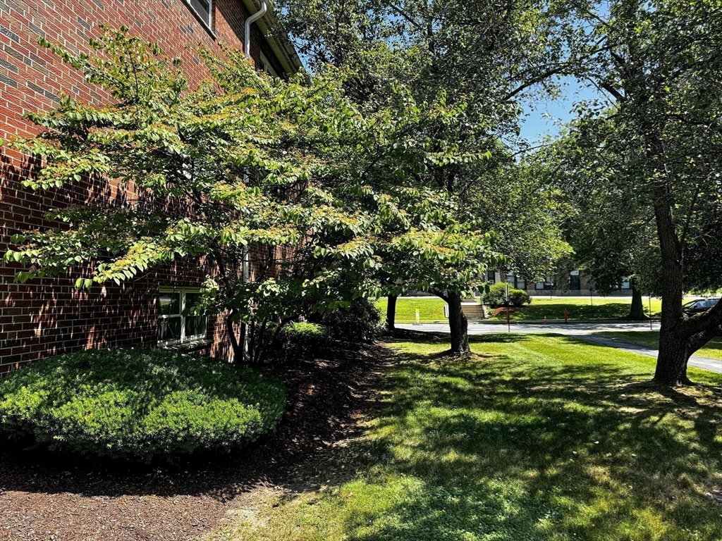 79 Walnut Street # 7