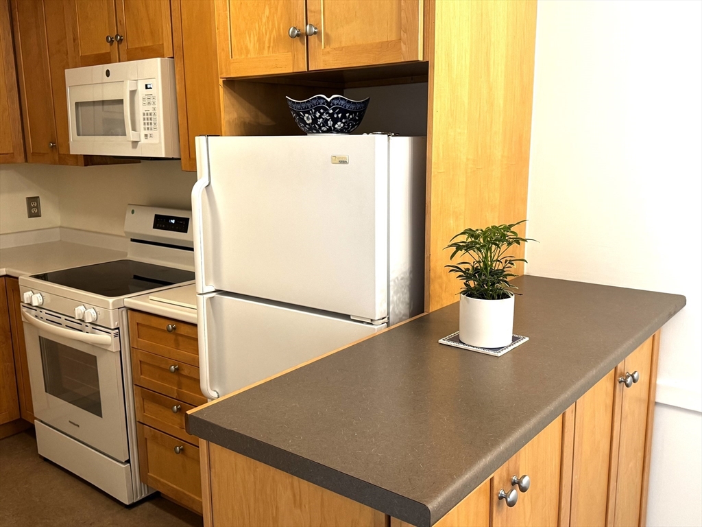 79 Walnut Street # 7