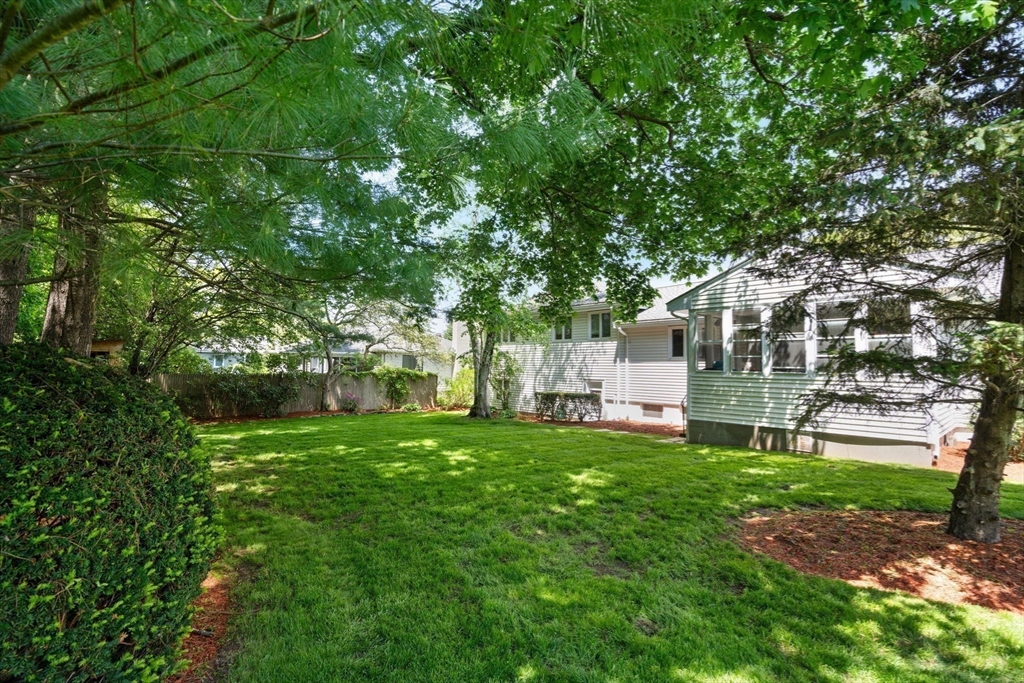 61 Sevland Rd
