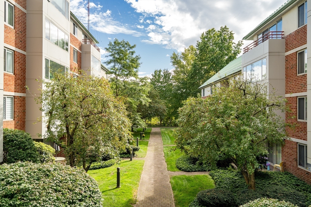 183 Oak Street # 205