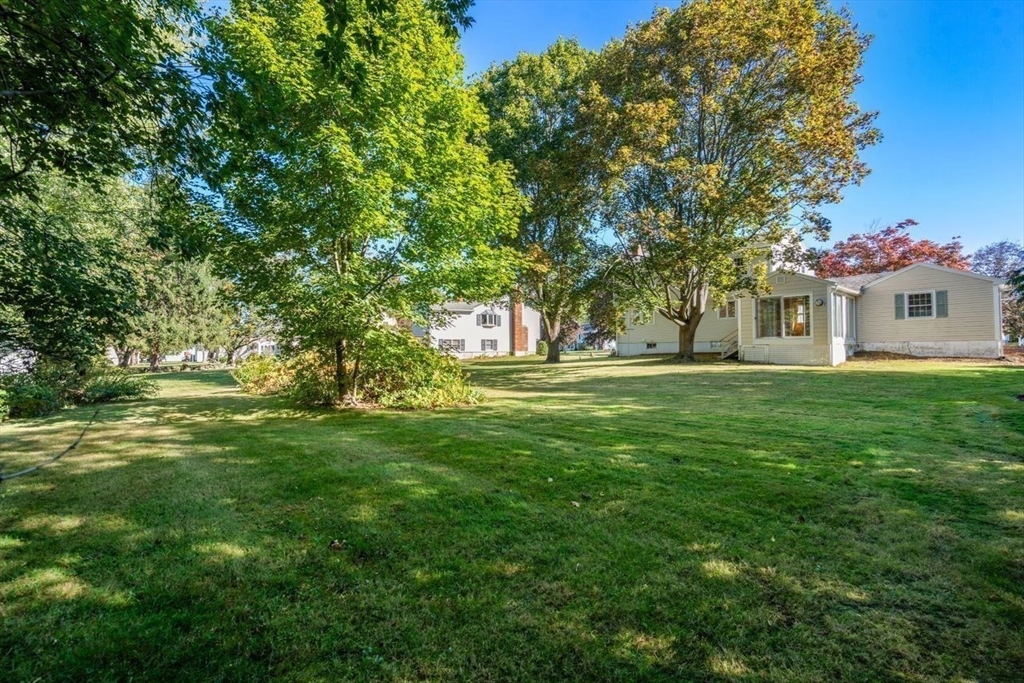 99 Lincoln Lane