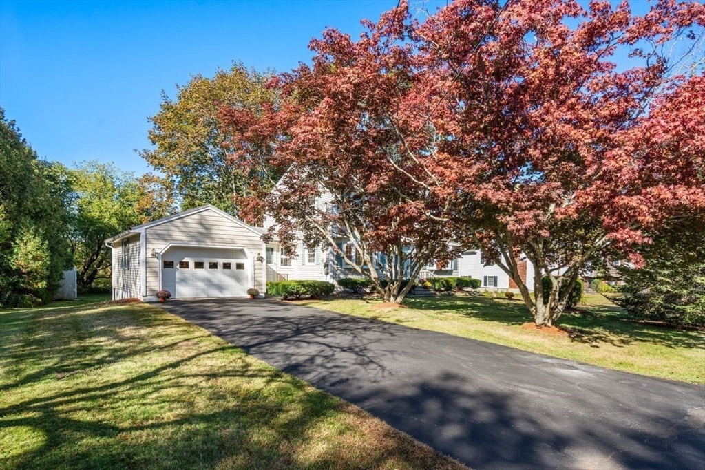 99 Lincoln Lane
