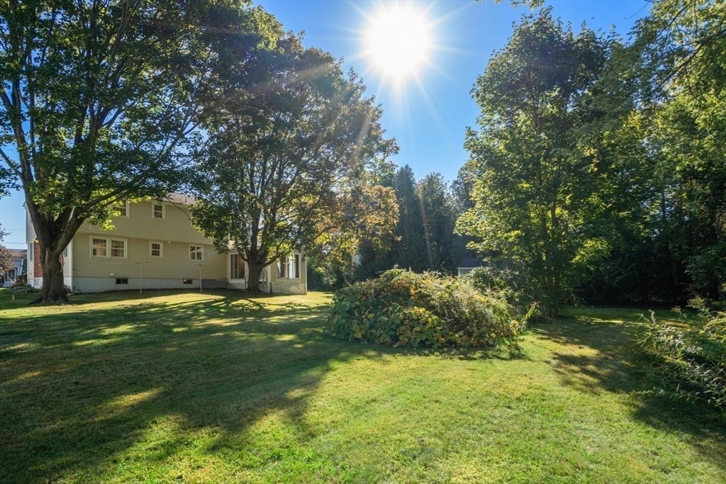99 Lincoln Lane