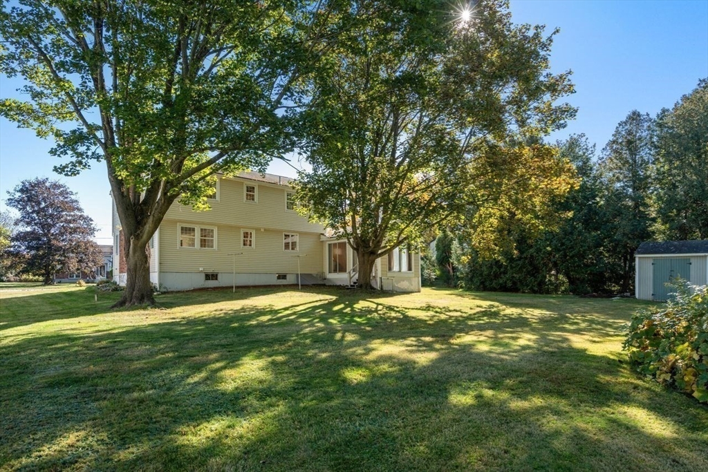 99 Lincoln Lane