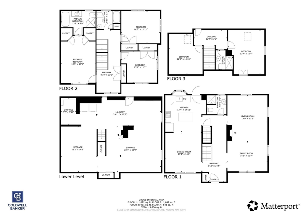 3 Forest St # 3
