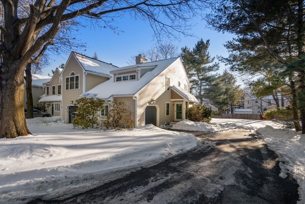 160 Pine Street # 15