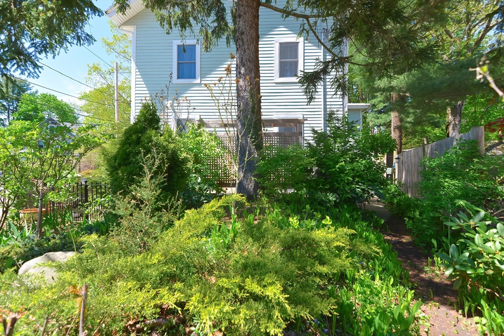 3 Forest St