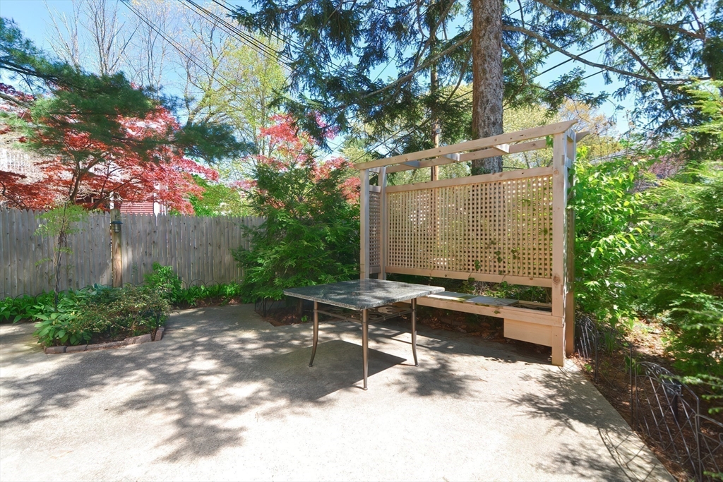 3 Forest St