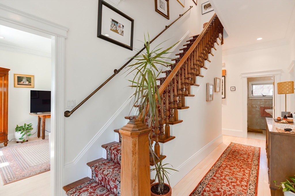 3 Forest St