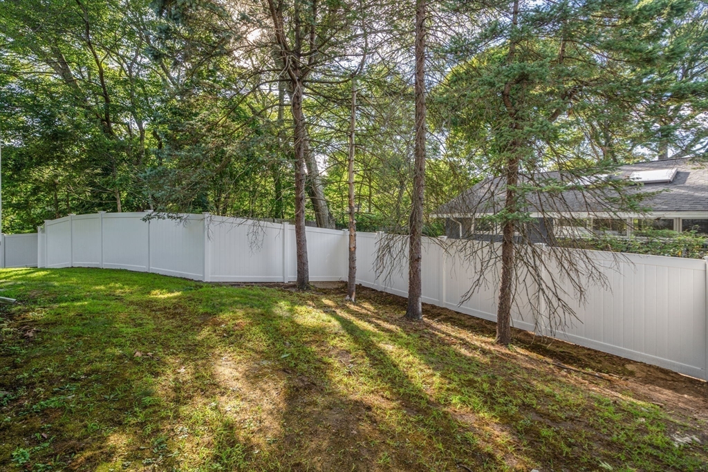 41 Juniper