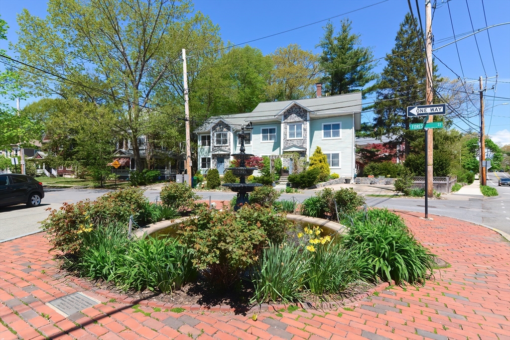 3 Forest St # 3