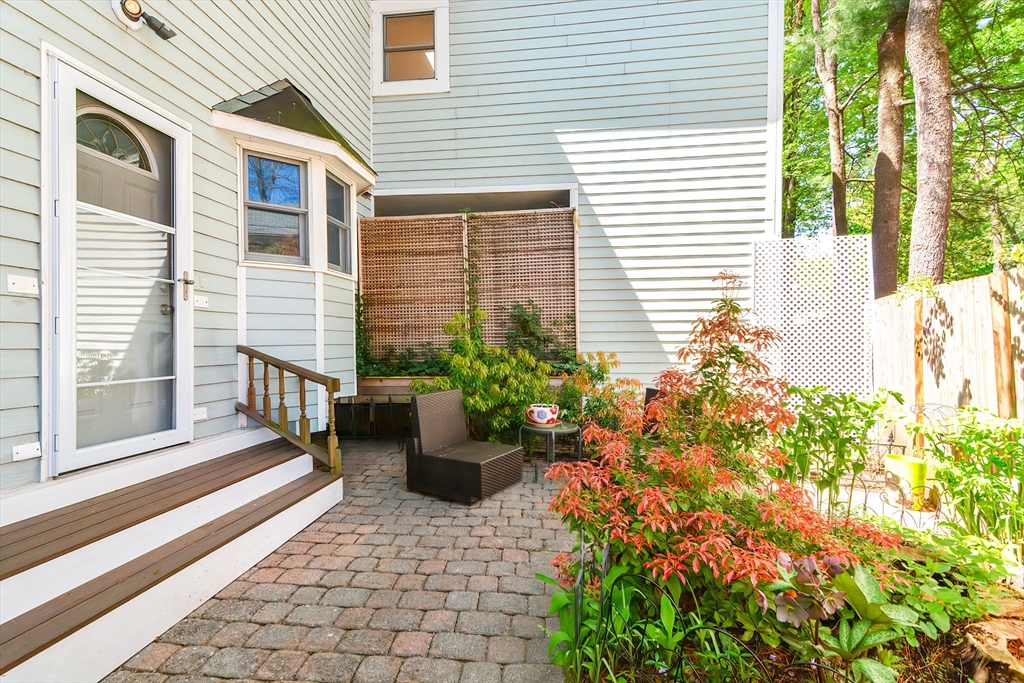 3 Forest St # 3