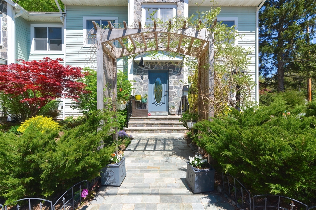 3 Forest St # 3