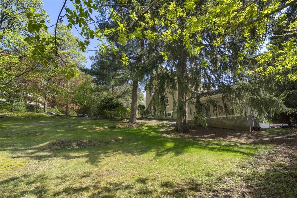 89 Beaumont Ave