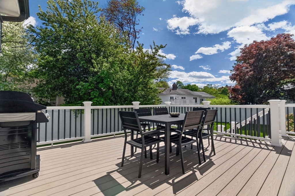 11 Haynes Rd
