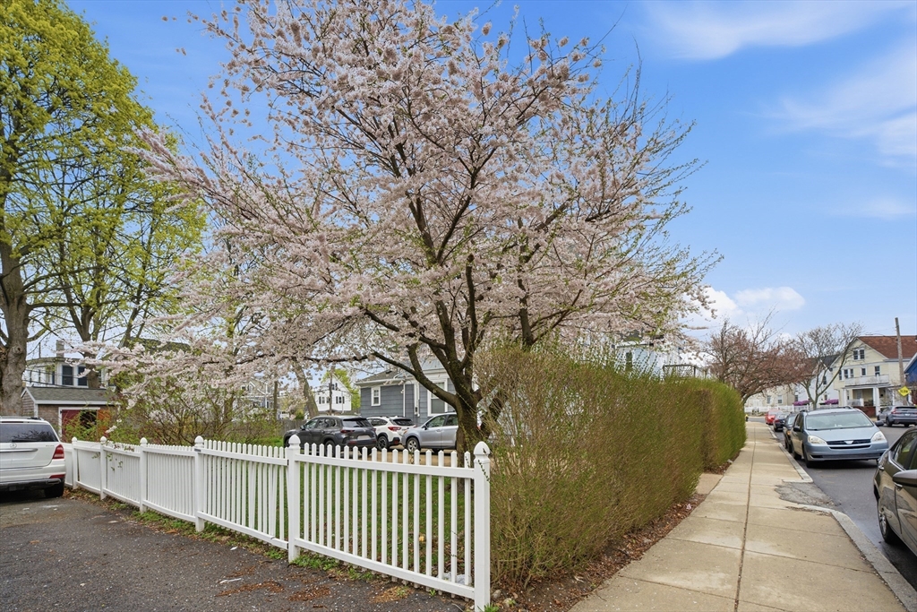 36-38 Florence St # 38