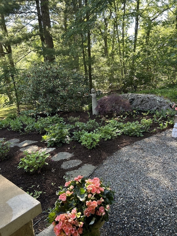 232 Allandale Road # 1C