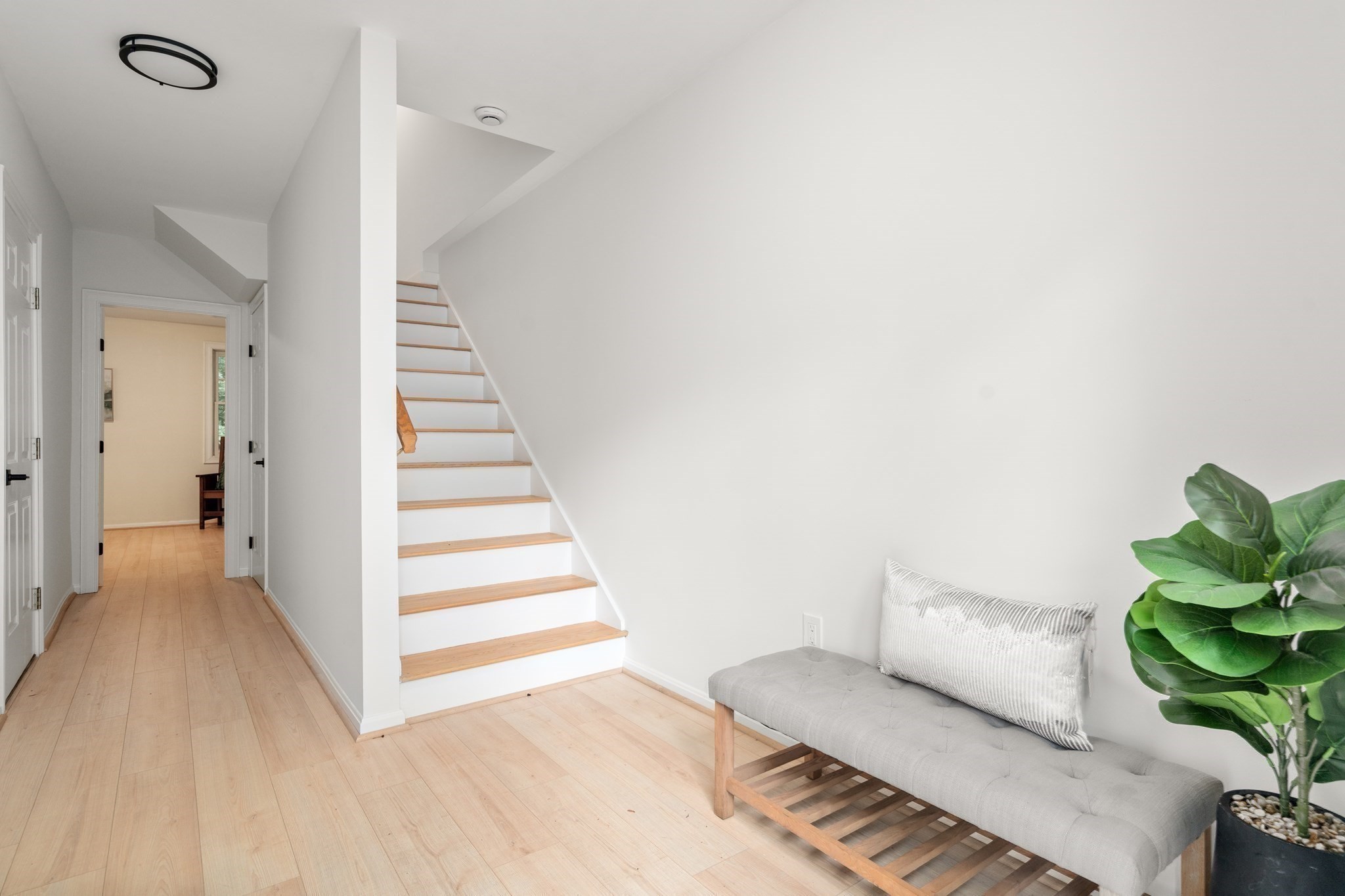 79 Beecher Pl # 5