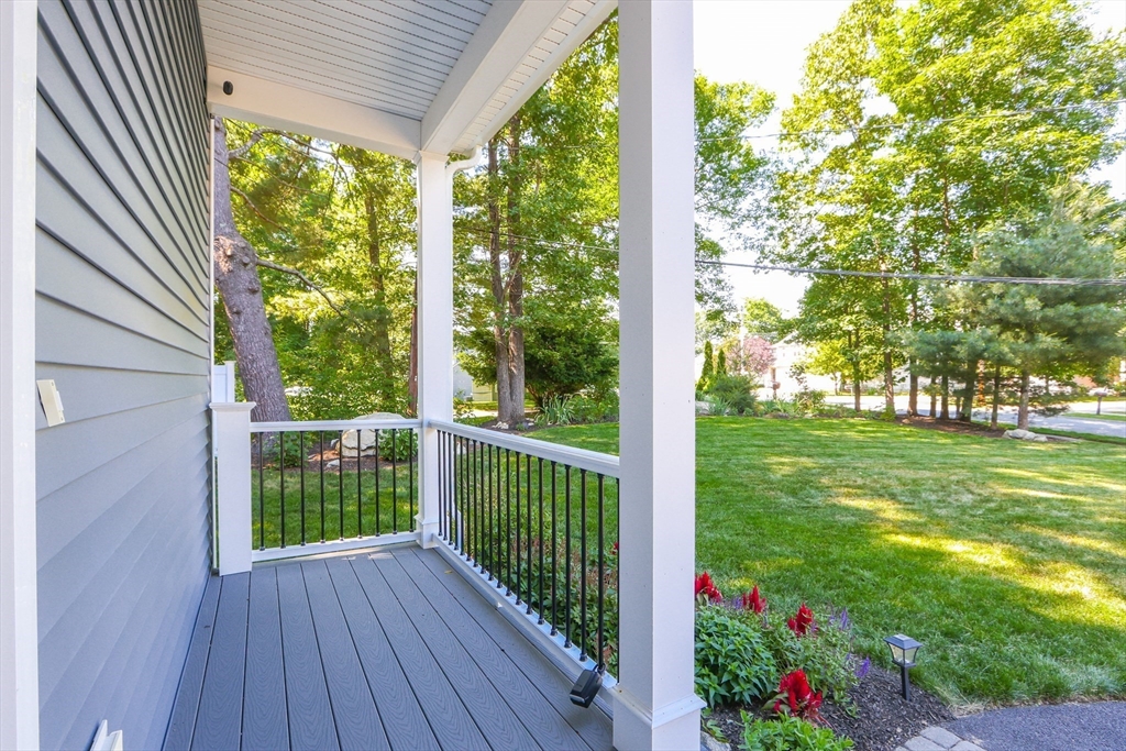 31 Wellesley Avenue # B