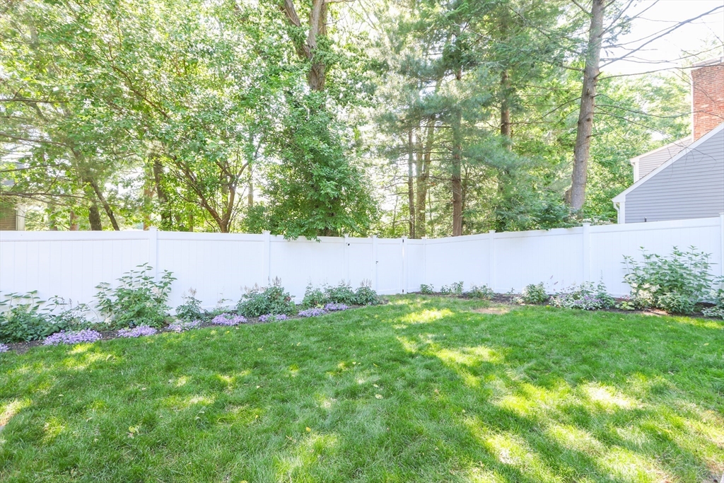 31 Wellesley Avenue # B