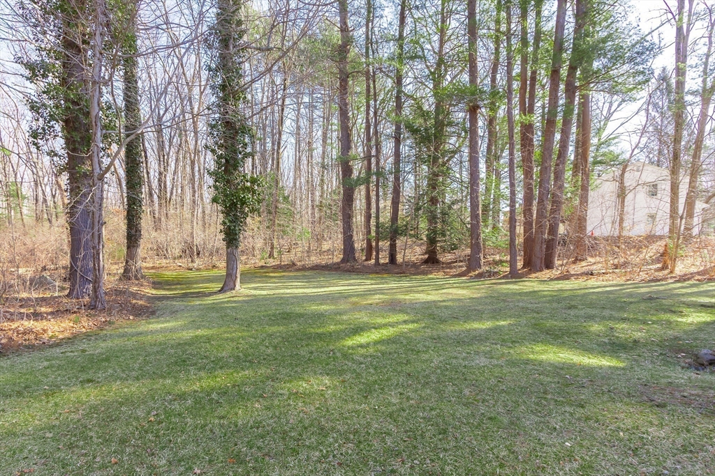 22 Evergreen Way